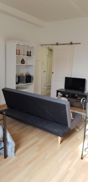 Studio hôtel-Dieu